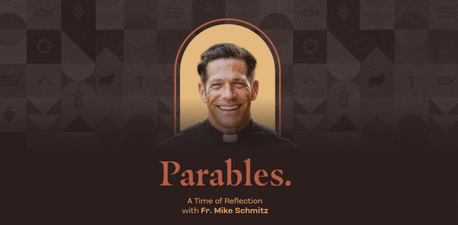 Father Mike Schmitz – Parables: A Time of Reflection