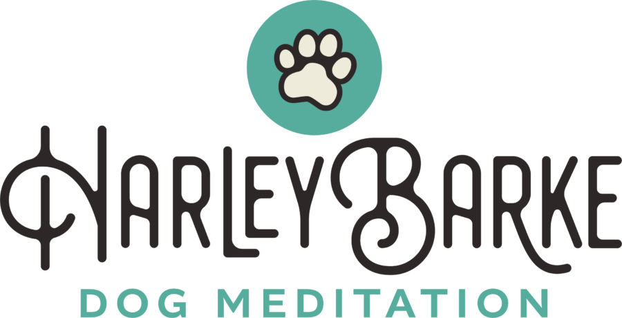 Harley Barke Dog Meditation and Social Gathering