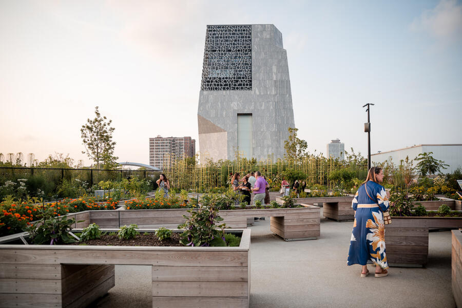 Obama Presidential Center gardens