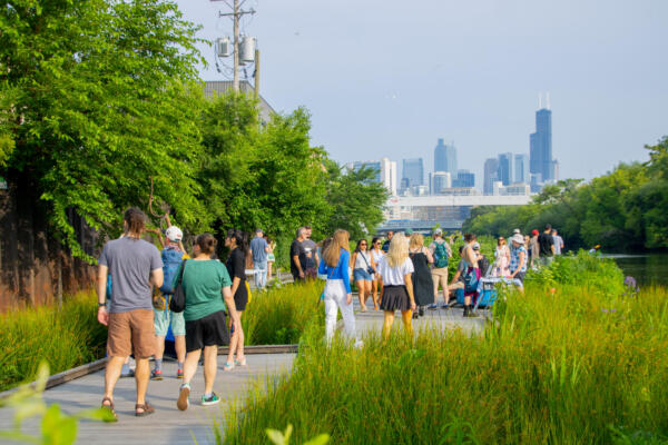 The Wild Mile in Chicago