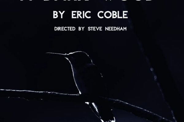 Tin Drum Theatre Company Presents the Chicago Premiere, “A Dark Wood”