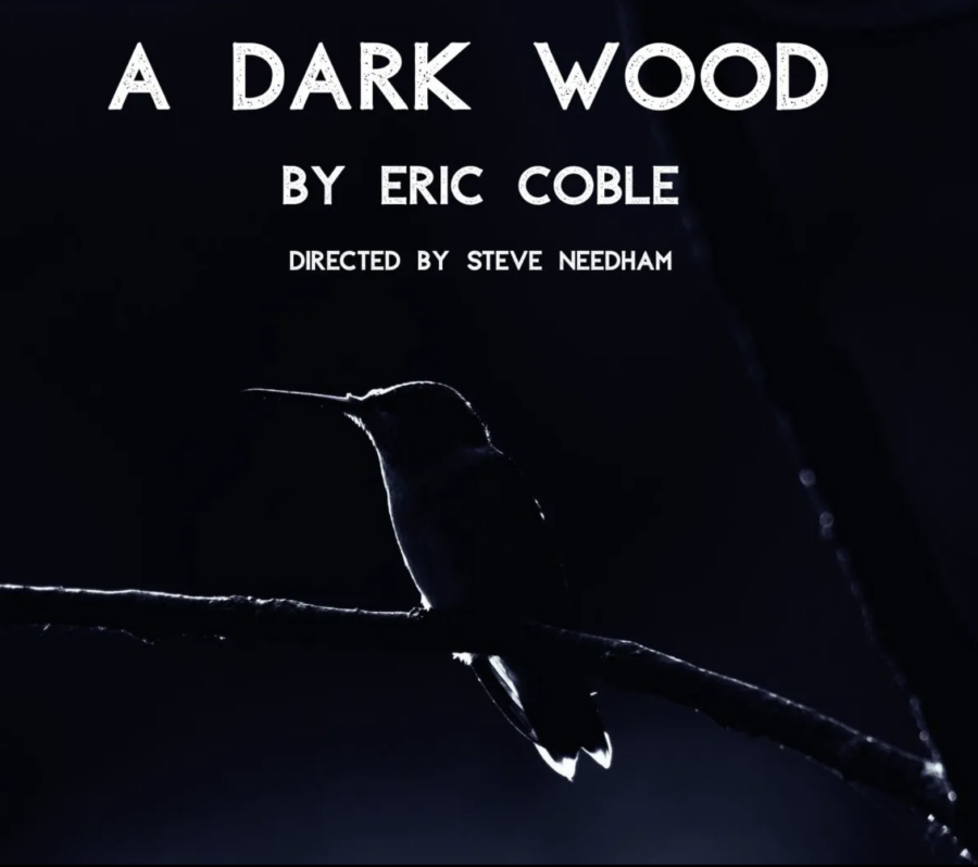 Tin Drum Theatre Company Presents the Chicago Premiere, “A Dark Wood”