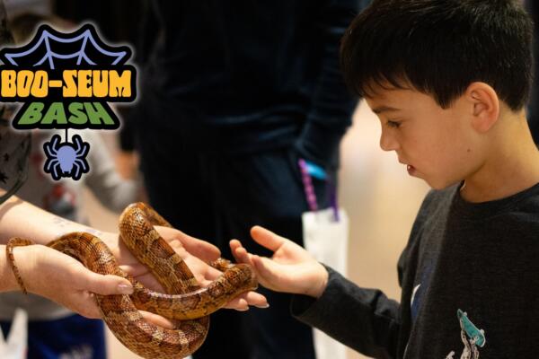 BOO-seum Bash