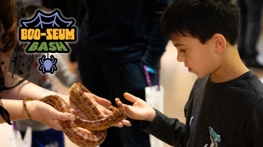 BOO-seum Bash
