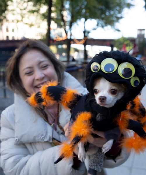 Howl-O-Ween Canine Cruise