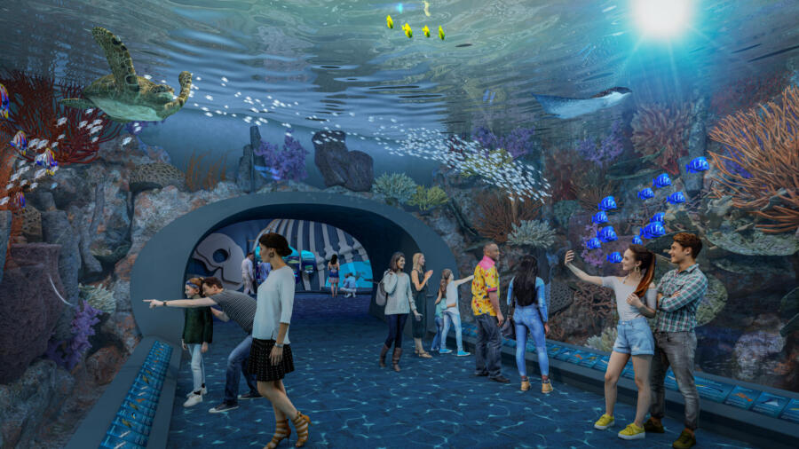 A rendering of the future Caribbean Tunnel in Changing Oceans; photo credit Shedd Aquarium