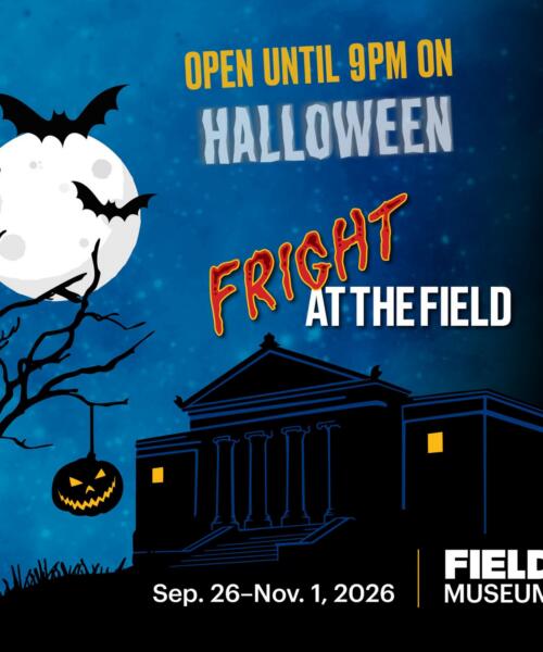 Fright at the Field
