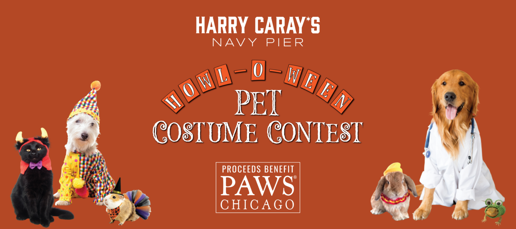 PAWS Costume Contest Web Assets