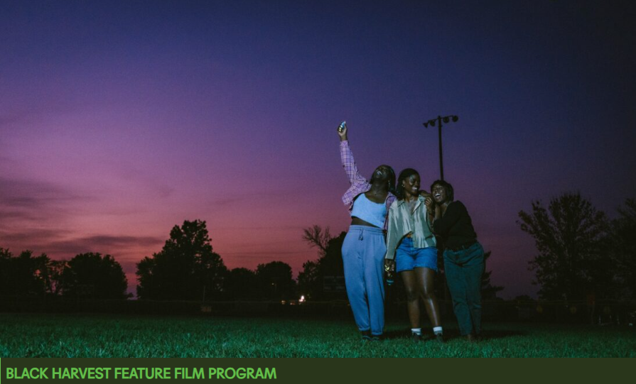 Black Harvest Film Festival: DREAMS IN NIGHTMARES