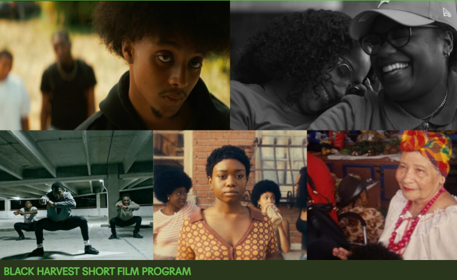 Black Harvest Film Festival: EVERYDAY PEOPLE