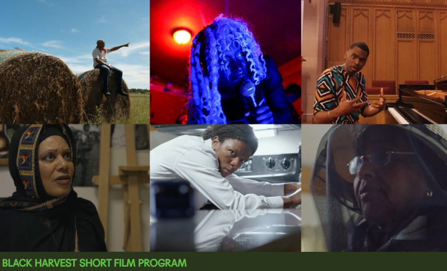 Black Harvest Film Festival: FROM THE BLOCK