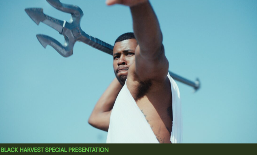 Black Harvest Film Festival: IF I GO WILL THEY MISS ME?—VISIONARY AWARD PRESENTATION