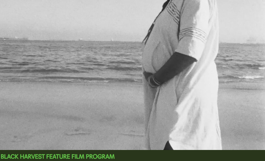 Black Harvest Film Festival: LISTEN TO ME