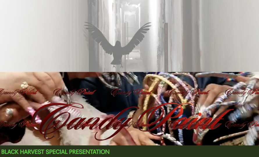Black Harvest Film Festival: MEMORY & STYLE: SOJOURN & CANDY PAINT