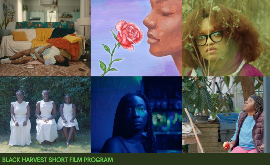 Black Harvest Film Festival: TO KNOW HER IS TO LOVE HER
