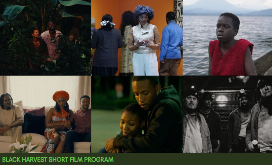 Black Harvest Film Festival: WHERE DO WE GO FROM HERE?