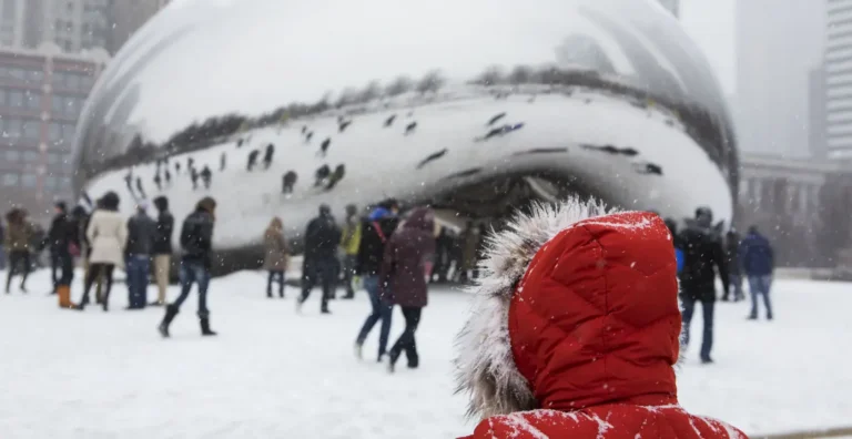 The Bean in winter