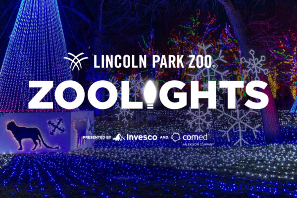 ZooLights Presented by Invesco and ComEd