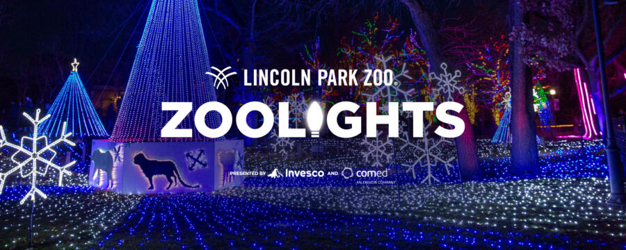 ZooLights Presented by Invesco and ComEd